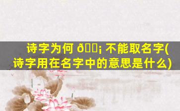 诗字为何 🐡 不能取名字(诗字用在名字中的意思是什么)